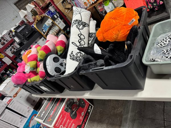 Wholesale Halloween Costumes & Accessories Liquidation Pallet