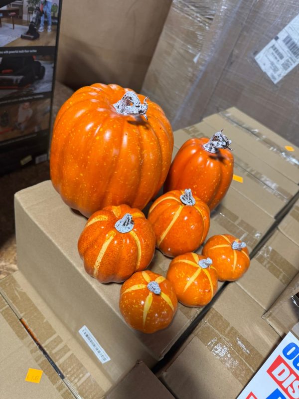 Wholesale Halloween Costumes & Accessories Liquidation Pallet