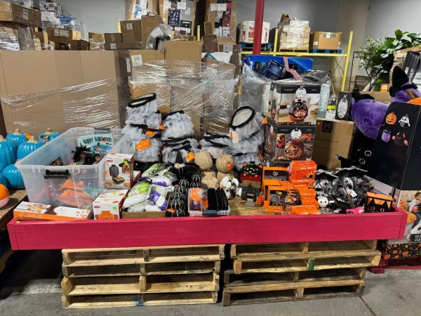 Wholesale Halloween Costumes & Accessories Liquidation Pallet